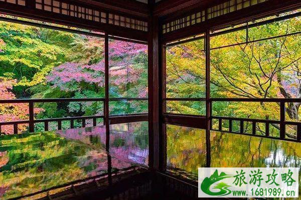 京都三日游攻略 京都三日游经典路线 京都三日游攻略 京都三日游经典路线