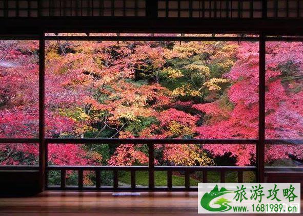 京都三日游攻略 京都三日游经典路线 京都三日游攻略 京都三日游经典路线