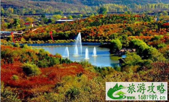 西山国家森林公园红叶最佳观赏地点 2022西山国家森林公园红叶红了吗 西山国家森林公园红叶最佳观赏地点 2022西山国家森林公园红叶红了吗