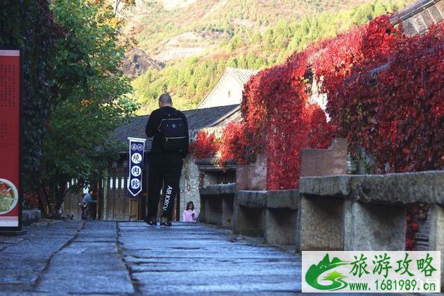 古北水镇红叶什么时候最美 古北水镇看红叶攻略 古北水镇红叶什么时候最美 古北水镇看红叶攻略