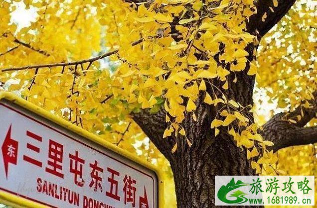 北京适合秋游的地方 北京秋天哪里好玩 北京适合秋游的地方 北京秋天哪里好玩