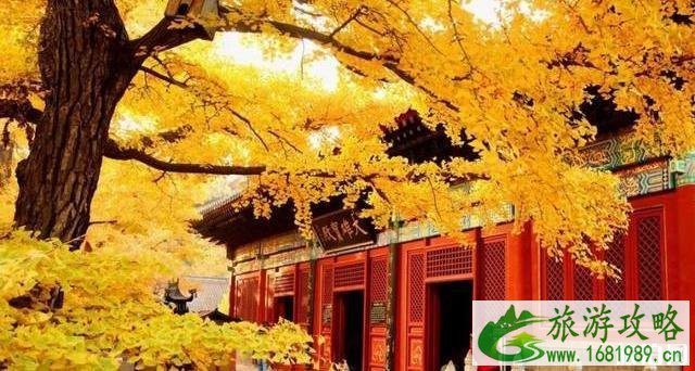 北京适合秋游的地方 北京秋天哪里好玩 北京适合秋游的地方 北京秋天哪里好玩