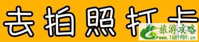 北京适合秋游的地方 北京秋天哪里好玩 北京适合秋游的地方 北京秋天哪里好玩