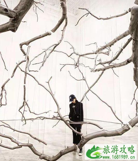 北京适合秋游的地方 北京秋天哪里好玩 北京适合秋游的地方 北京秋天哪里好玩