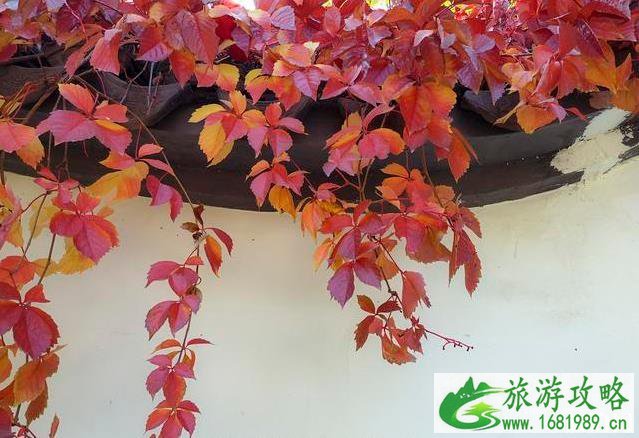 北京园博园秋季好玩吗 北京园博园秋季可以看红叶吗 北京园博园秋季好玩吗 北京园博园秋季可以看红叶吗