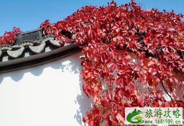 北京园博园秋季好玩吗 北京园博园秋季可以看红叶吗 北京园博园秋季好玩吗 北京园博园秋季可以看红叶吗