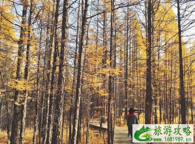 2022年秋季适合旅游的地方 2022年秋季适合旅游的地方