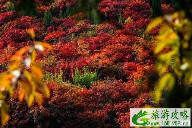 2022年秋季适合旅游的地方 2022年秋季适合旅游的地方