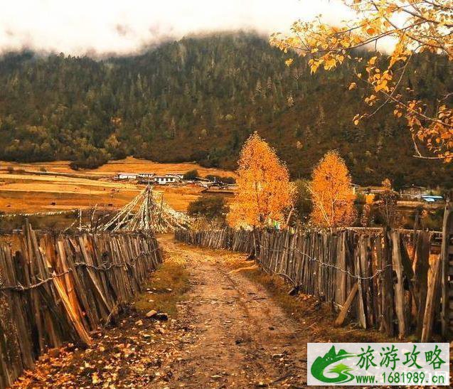 2022年秋季适合旅游的地方 2022年秋季适合旅游的地方