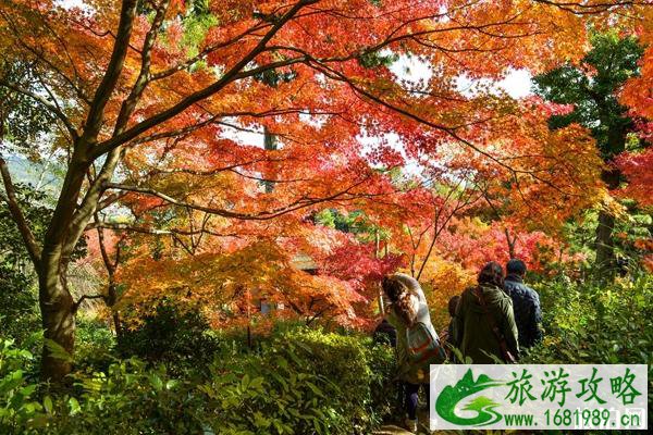 2022焦作青天河红叶节时间+门票优惠政策 2022焦作青天河红叶节时间+门票优惠政策