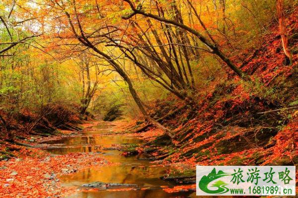 2022巩义长寿山红叶节时间+门票+路线推荐 2022巩义长寿山红叶节时间+门票+路线推荐
