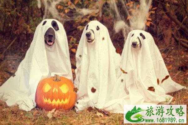 美国万圣节在几月几号 美国万圣节活动攻略2022 美国万圣节在几月几号 美国万圣节活动攻略2022