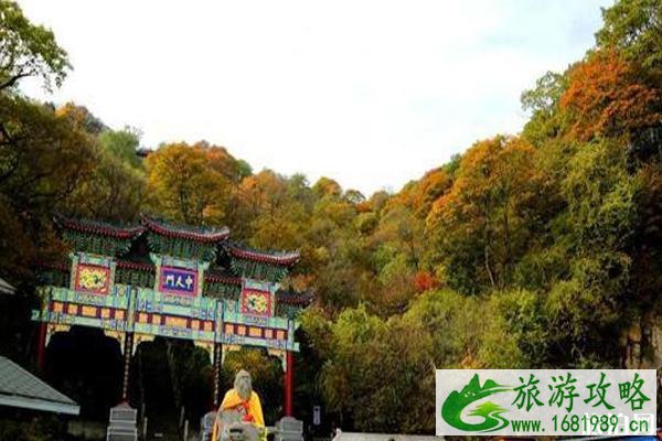 老君山红叶什么时候最美 老君山红叶观赏地点推荐