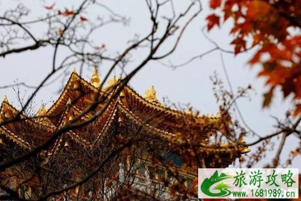 老君山红叶什么时候最美 老君山红叶观赏地点推荐