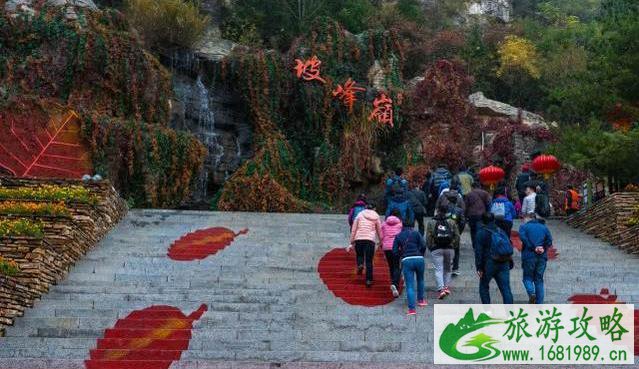 北京11月看红叶的地方 北京11月看红叶的地方