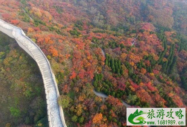 北京11月看红叶的地方 北京11月看红叶的地方