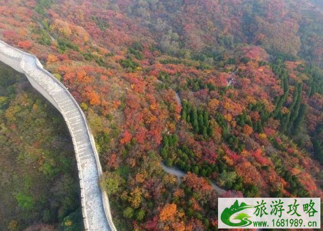 北京11月看红叶的地方 北京11月看红叶的地方
