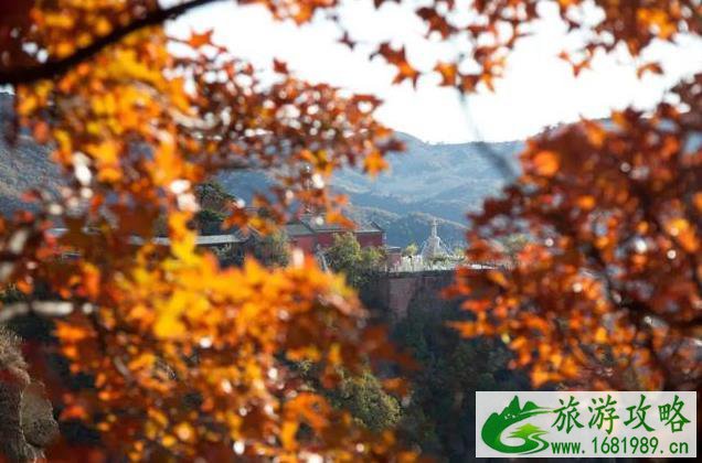 北京11月看红叶的地方 北京11月看红叶的地方
