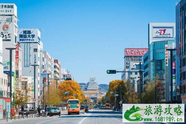 秋季日本兵库旅游攻略