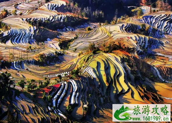 元阳梯田最佳旅游时间是几月份 元阳梯田最佳拍摄点 元阳梯田最佳旅游时间是几月份 元阳梯田最佳拍摄点