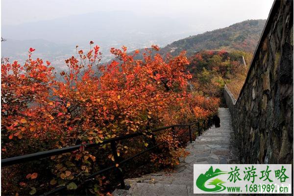 北京2022香山红叶节时间+门票+地点+观赏路线 北京2022香山红叶节时间+门票+地点+观赏路线