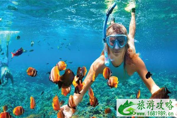 马尔代夫薇莉富士岛开放时间 马尔代夫薇莉富士岛有什么好玩的 马尔代夫薇莉富士岛开放时间 马尔代夫薇莉富士岛有什么好玩的