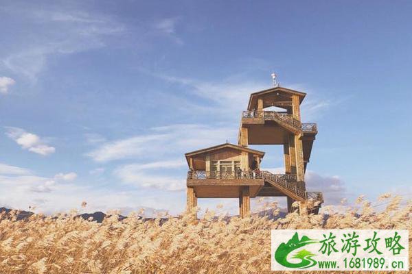 秋天去野鸭湖国家湿地公园怎么样+门票+开放时间