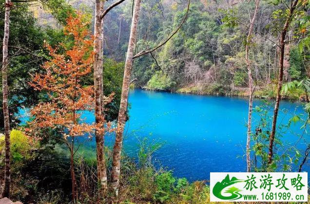 11月去哪旅游好 11月份适合旅游的地方 11月去哪旅游好 11月份适合旅游的地方