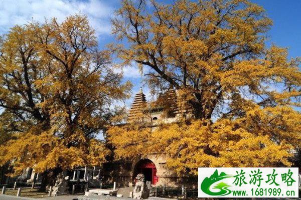 北京五塔寺秋季旅游攻略 北京五塔寺秋季旅游攻略