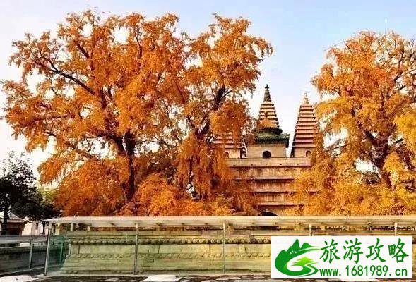 北京五塔寺秋季旅游攻略 北京五塔寺秋季旅游攻略