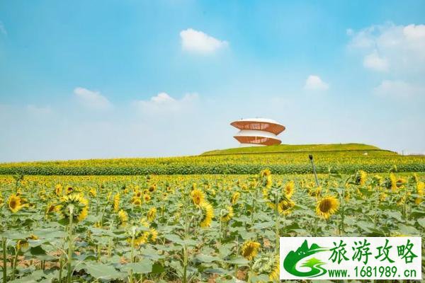 深圳秋季赏花的地方 深圳赏花最佳位置 深圳秋季赏花的地方 深圳赏花最佳位置