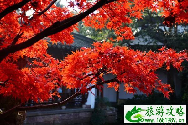 天津吃螃蟹去哪+天气预报