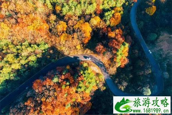 2022光雾山红叶节景区门票信息 附参观示意图