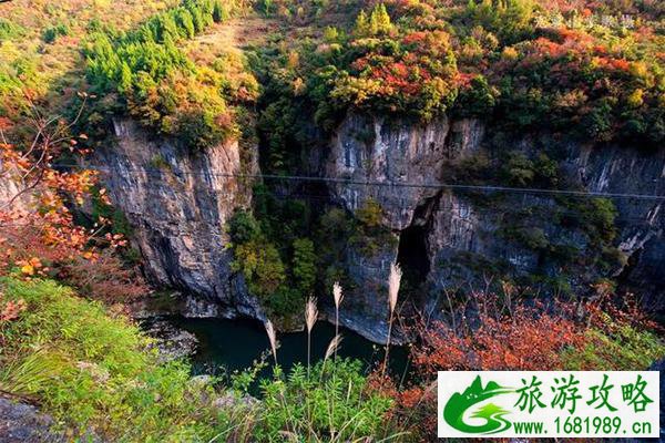 10月赏秋的好地方 十月哪里的红叶开始红了