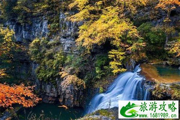 黎坪赏秋自驾攻略 附2022黎坪红叶节门票价格