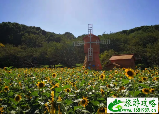 苏州秋天赏花去哪儿 苏州秋季赏花攻略