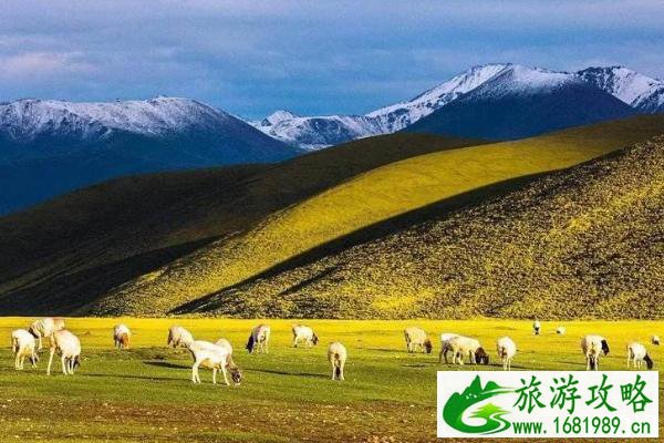 去西北旅游需要带什么东西 去西北旅游需要带什么东西