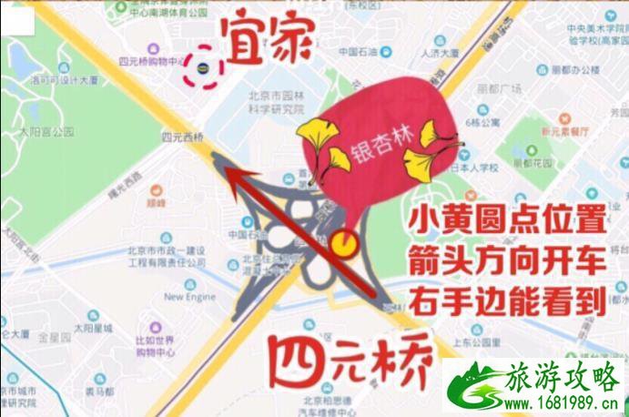 2022北京哪里银杏最好看 2022北京哪里银杏最好看