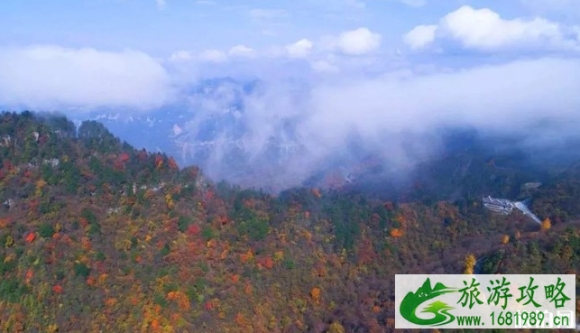 神农架交通方便吗 神农架旅游攻略