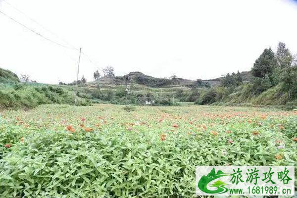 2022广安国庆节天气情况 广安国庆节有哪些活动 2022广安国庆节天气情况 广安国庆节有哪些活动