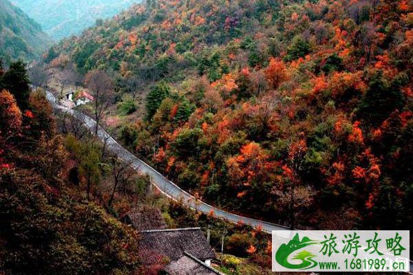 留坝秋天有什么好看的景色