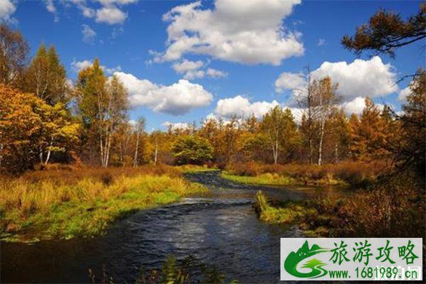 11月阿尔山下雪吗 11月阿尔山旅游攻略