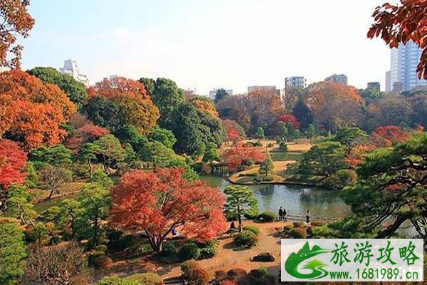 日本看红叶的小众旅游景点推荐