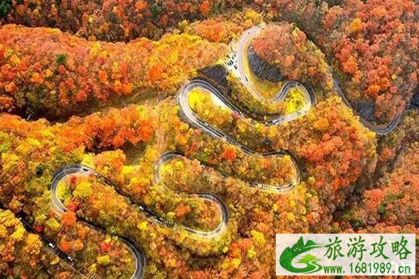 日本看红叶的小众旅游景点推荐