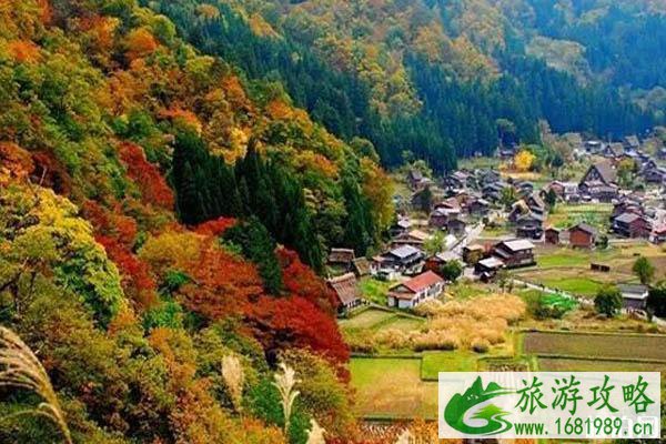 日本看红叶的小众旅游景点推荐