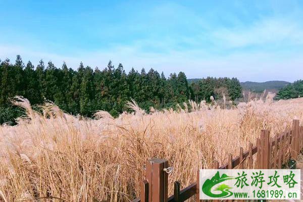济州岛网红打卡地推荐