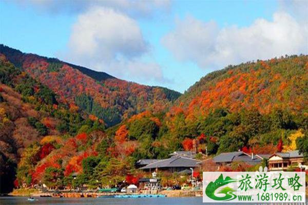 日本京都岚山小火车运行时间 门票+交通指南