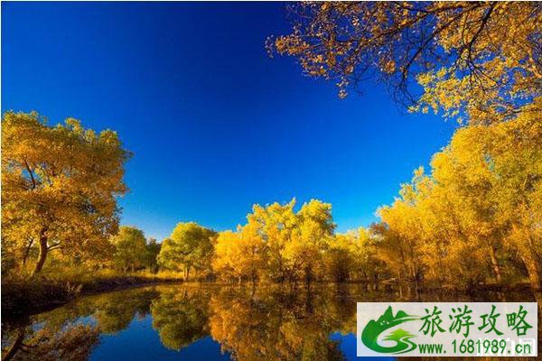 额济纳旗旅游路线推荐 额济纳旗旅游路线推荐