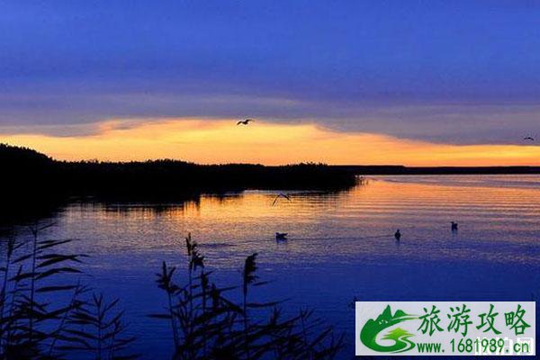 额济纳旗旅游路线推荐 额济纳旗旅游路线推荐