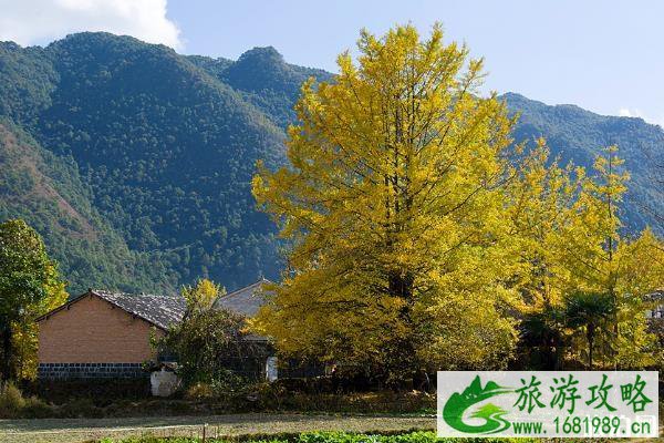 2022年十一国庆去哪旅游最好 2022年十一国庆去哪旅游最好
